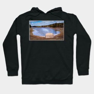 Spring in Whynacht's Point 02 Hoodie